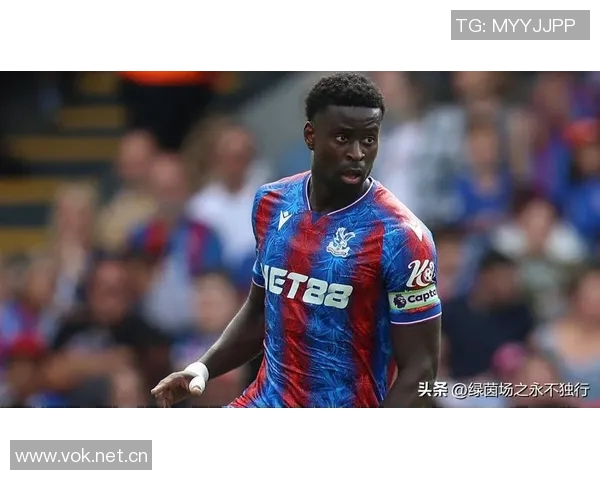 前水晶宫老板遭9700万美元索赔多家俱乐部集团陷入财务危机 前水晶宫老板遭9700万美元索赔多家俱乐部集团陷入财务危机