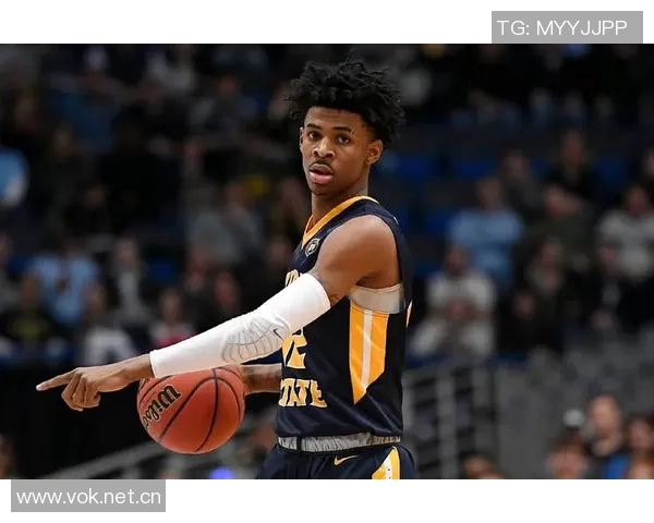 霍里谈灰熊阵容深度除了莫兰特和JJJ还有哪些球员值得关注