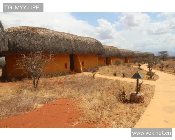 费尔明独特比喻展现队友风采特狮领袖卡萨多比特犬亚马尔最佳